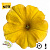 Chameletunia® Yellow (Petchoa BeautiCal)